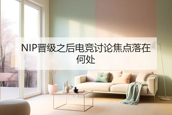 NIP晋级之后电竞讨论焦点落在何处